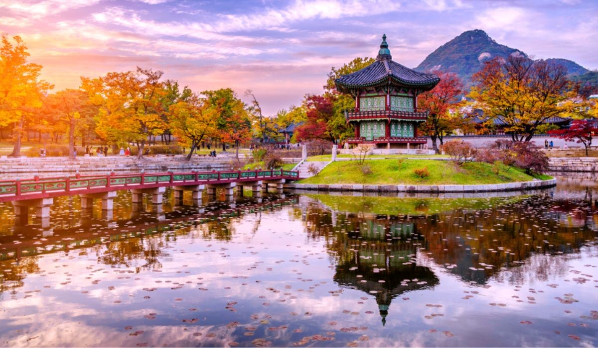 Before You Explore: South Korea Travel Tips and Information